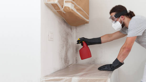 Professional Bathroom Mold Removal technician working in Elmont, NY